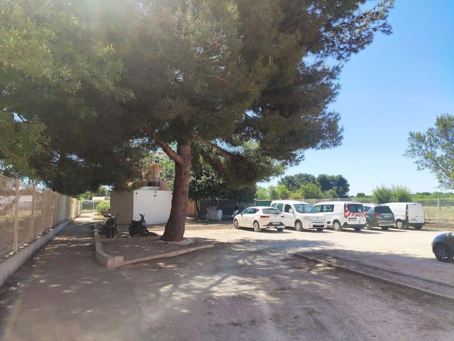 Harmonie Du Sud Apartment Le Grau-d'Agde Bagian luar foto