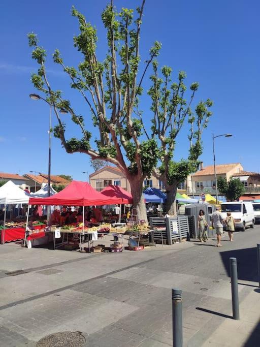 Harmonie Du Sud Apartment Le Grau-d'Agde Bagian luar foto